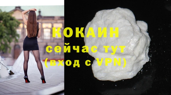 индика Заволжье