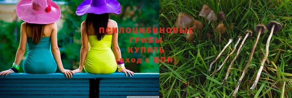 твердый Дмитровск